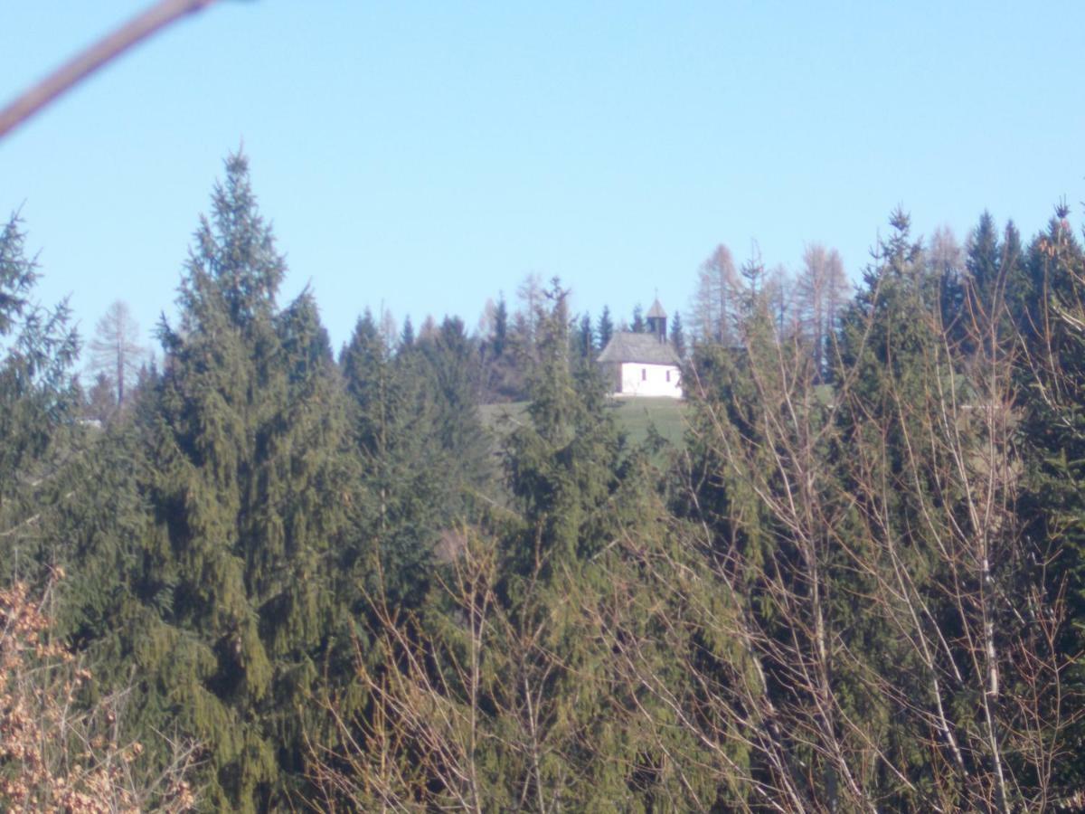 Villa Bauernhof Moadl Weyregg Exterior foto